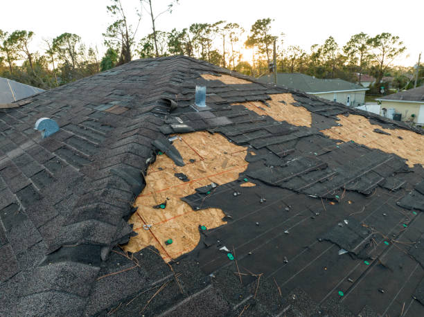 Best Skylight Installation and Repair  in Oreland, PA